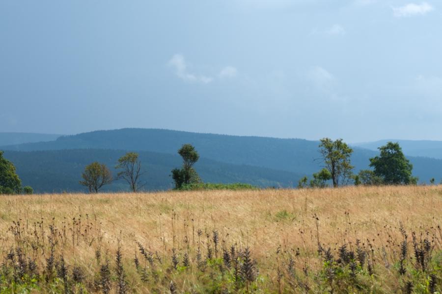 Blick von Johanngeorgenstadt über die Hügel des Erzgebirges