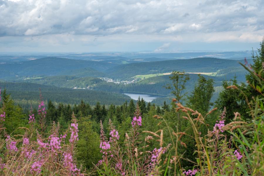 Blick vom Auersberg nach Sosa