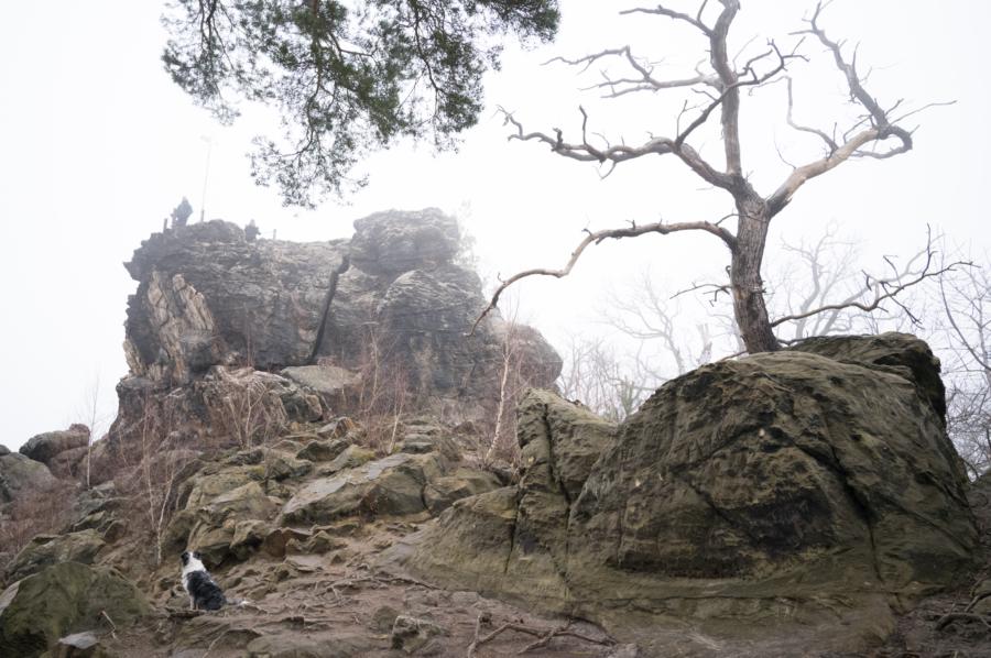 Großvaterfelsen an der Teufelsmauer