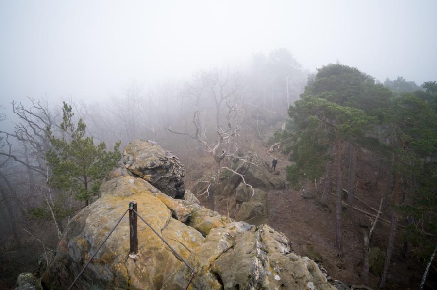 Blick vom Großvaterfelsen
