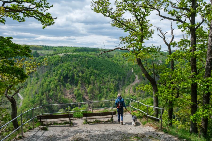 Am Aussichtspunkt Weißer Hirsch