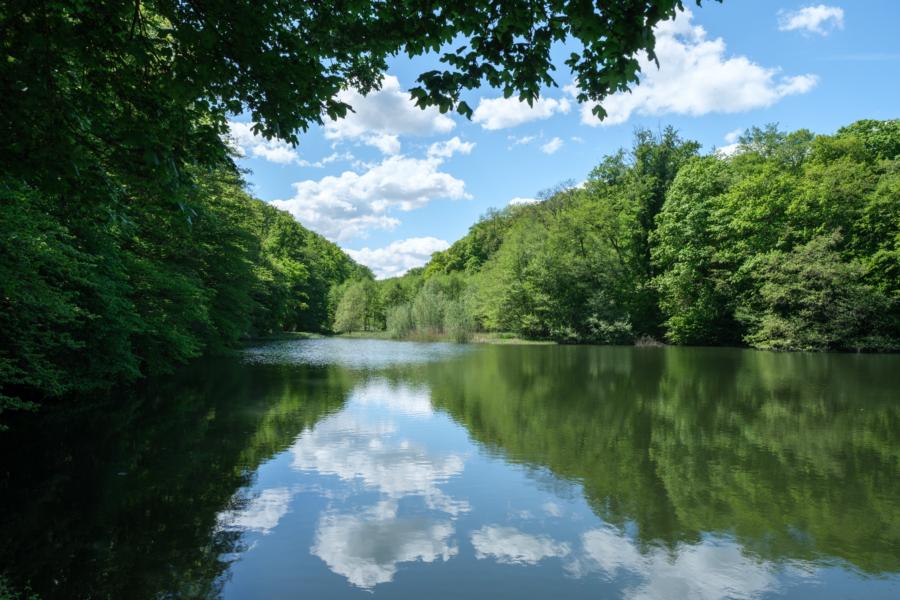 An den Klosterteichen