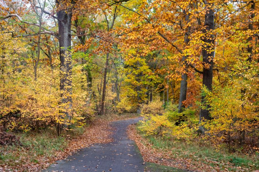 Abgeblendet ausgewogen und scharf