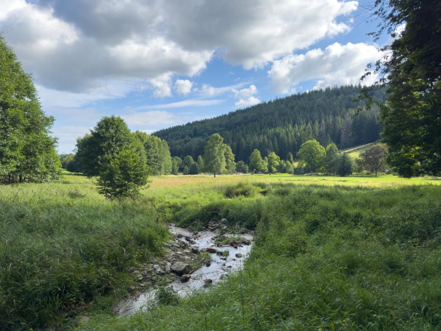Im Kamienica-Tal