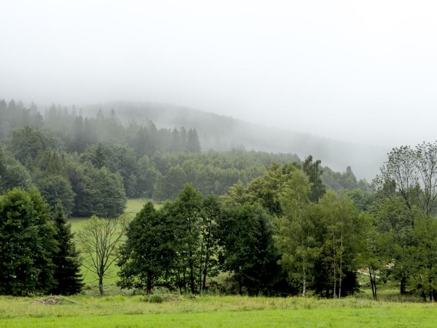 Nebel in den Bergen