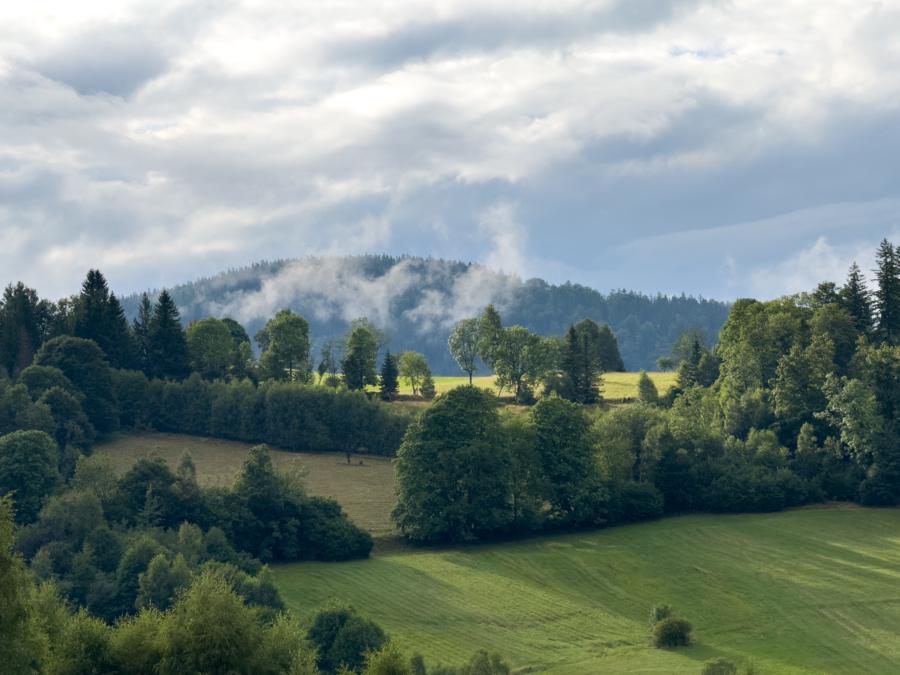 Sonne und Wolken im Kamienica-Tal