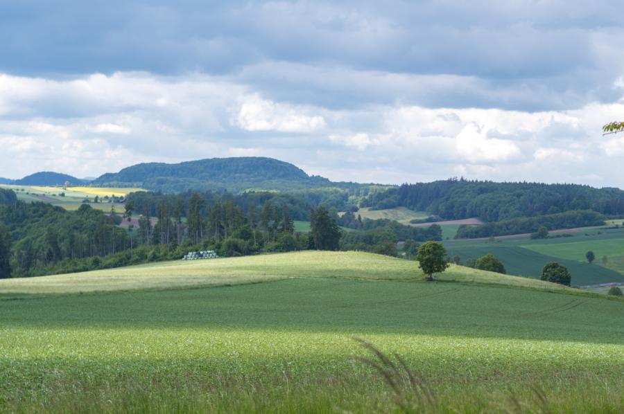 Landschaft in Südniedersachsen