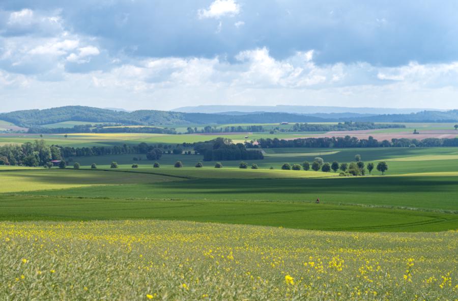 Blick vom Eschenberg
