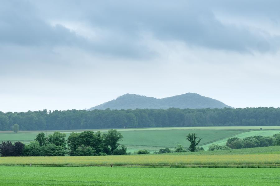 Die Gleichen