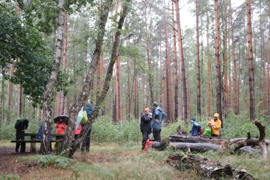 Pause im Wald