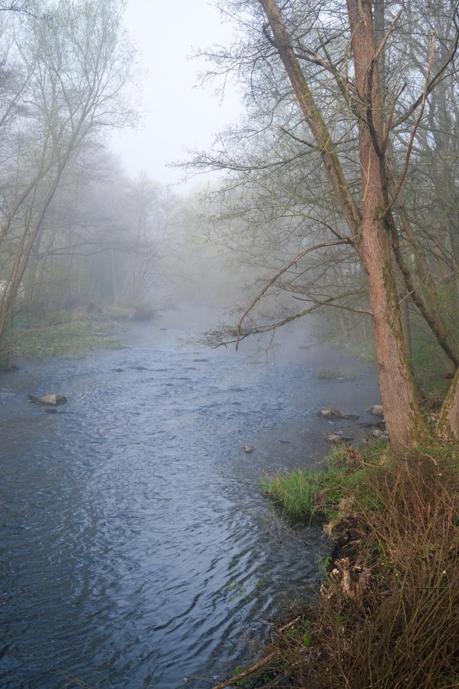 Bode bei Altenbrak im Nebel