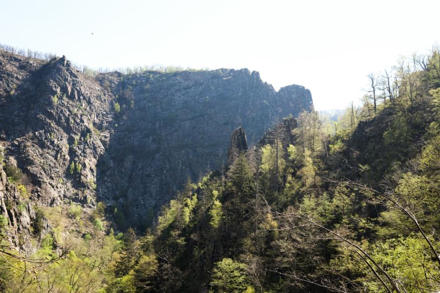 Gewaltige Felsen im Bodetal