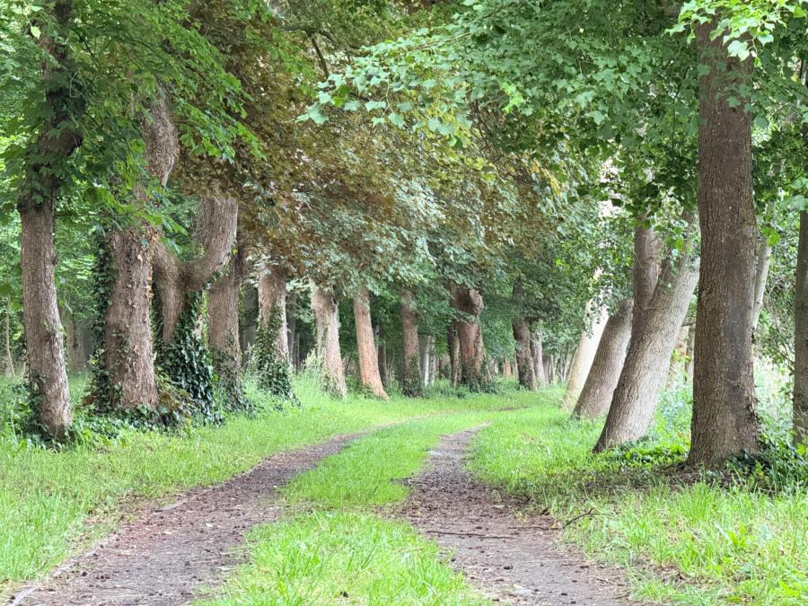 Seeweg am Stadtsee Strasburg