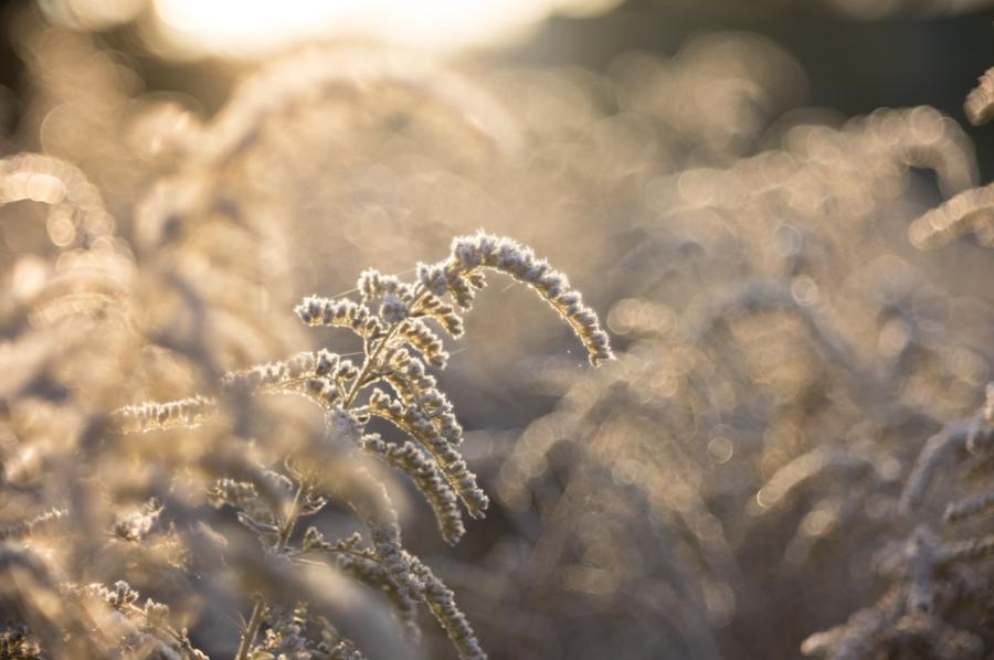 Texturüberlagerungen 