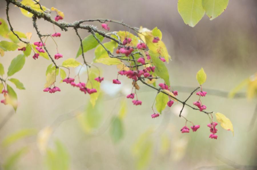 Sanft vermalter Hintergrund