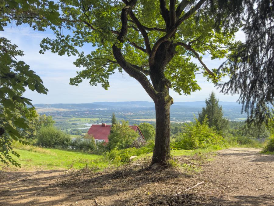 in den Hügeln von Przesieka