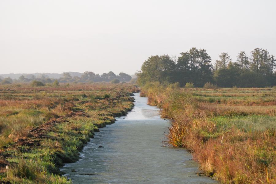 Entwässerungsgräben im Moor