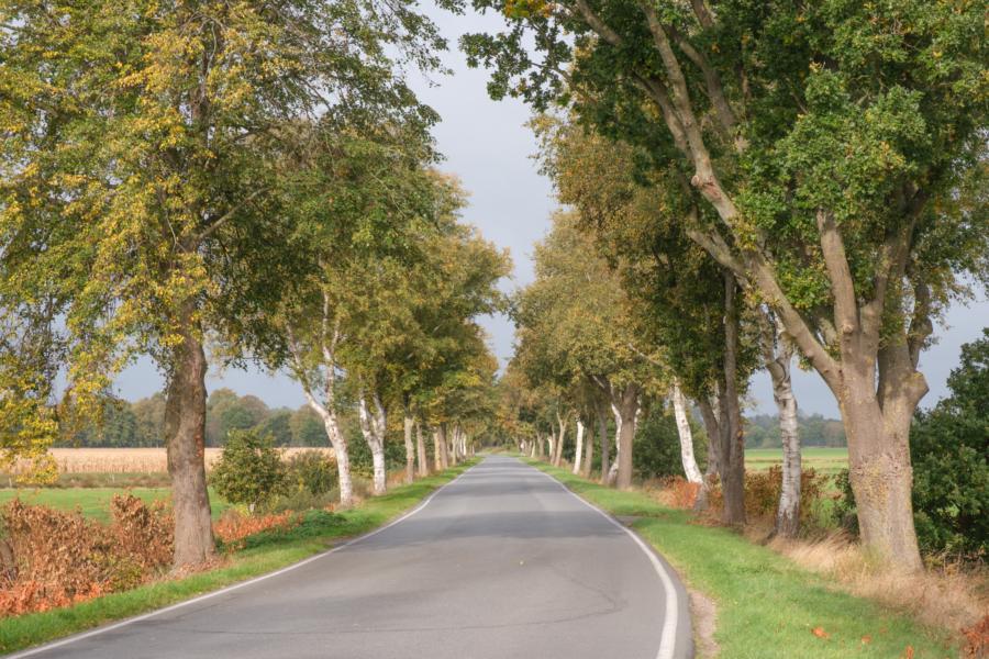 Idyllische Straßen queren das Moor