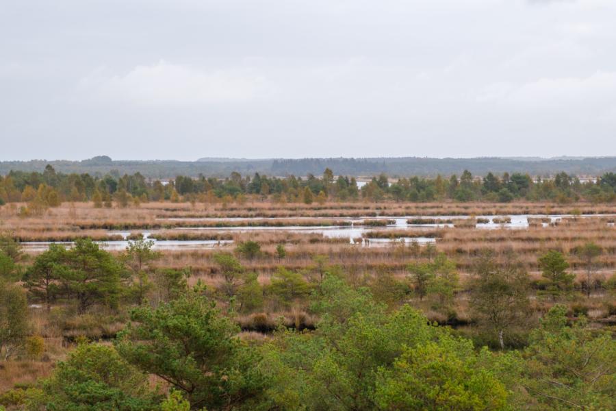 Huvenhoopmoor